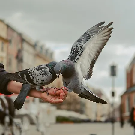 公寓式酒店 Well Well