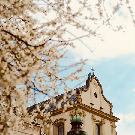 Well Well Apartahotel Cracovia